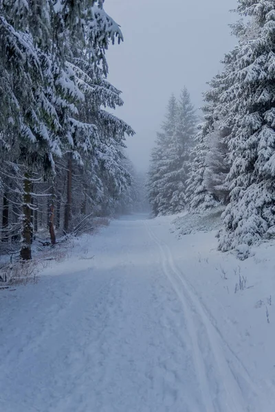 Erste Kleine Winterwanderung Entlang Des Rennsteigs Durch Den Thüringer Wald — Stockfoto