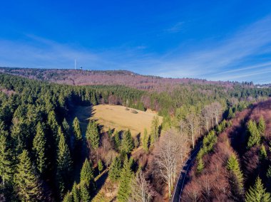Güneşli bir günde Inselsberg - Thüringen / Almanya çevresinde kış yürüyüşü