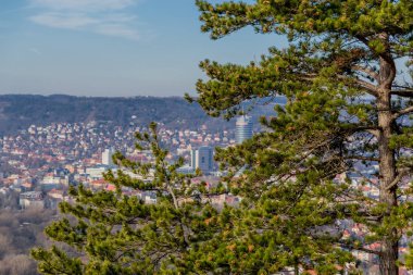 Jena - Thüringen / Almanya yakınlarındaki Çekirdek Dağları boyunca keşif turu