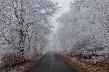 Rennsteig - Thüringen / Almanya 'da Eberstwiese etrafında güneşli bir kış günü kış yürüyüşü