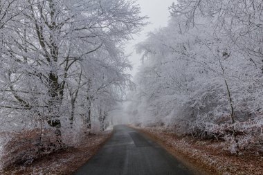 Rennsteig - Thüringen / Almanya 'da Eberstwiese etrafında güneşli bir kış günü kış yürüyüşü
