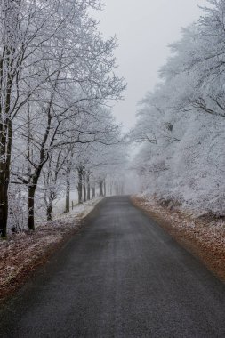 Rennsteig - Thüringen / Almanya 'da Eberstwiese etrafında güneşli bir kış günü kış yürüyüşü