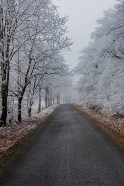 Rennsteig - Thüringen / Almanya 'da Eberstwiese etrafında güneşli bir kış günü kış yürüyüşü