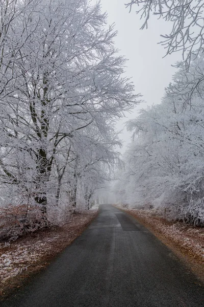 Winter Walk Sunny Cold Winter Day Eberstwiese Rennsteig Thuringia Germany — Stock Photo, Image