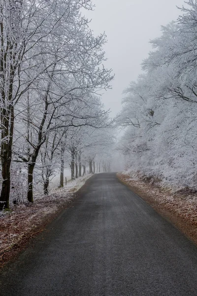 Winter Walk Sunny Cold Winter Day Eberstwiese Rennsteig Thuringia Germany — Stock Photo, Image