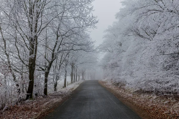 Passeio Inverno Dia Inverno Frio Ensolarado Torno Eberstwiese Rennsteig Turíngia — Fotografia de Stock