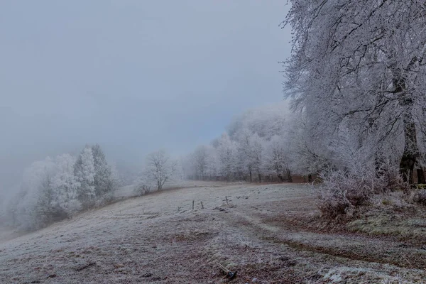 Passeio Inverno Dia Inverno Frio Ensolarado Torno Eberstwiese Rennsteig Turíngia — Fotografia de Stock