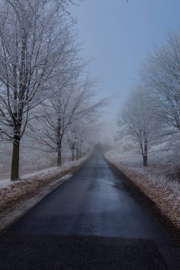 Rennsteig - Thüringen / Almanya 'da Eberstwiese etrafında güneşli bir kış günü kış yürüyüşü