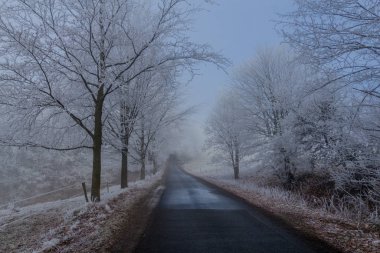 Rennsteig - Thüringen / Almanya 'da Eberstwiese etrafında güneşli bir kış günü kış yürüyüşü