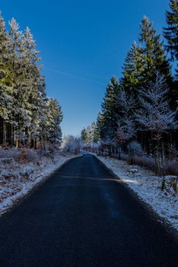 Rennsteig - Thüringen / Almanya 'da Eberstwiese etrafında güneşli bir kış günü kış yürüyüşü
