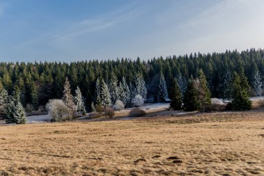Rennsteig - Thüringen / Almanya 'da Eberstwiese etrafında güneşli bir kış günü kış yürüyüşü