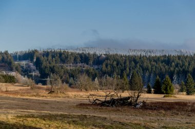 Rennsteig - Thüringen / Almanya 'da Eberstwiese etrafında güneşli bir kış günü kış yürüyüşü