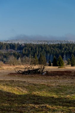 Rennsteig - Thüringen / Almanya 'da Eberstwiese etrafında güneşli bir kış günü kış yürüyüşü