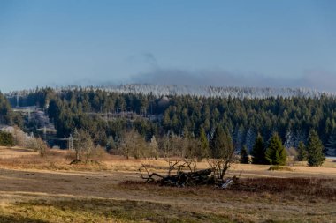 Rennsteig - Thüringen / Almanya 'da Eberstwiese etrafında güneşli bir kış günü kış yürüyüşü