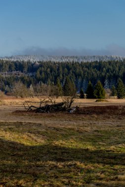 Rennsteig - Thüringen / Almanya 'da Eberstwiese etrafında güneşli bir kış günü kış yürüyüşü