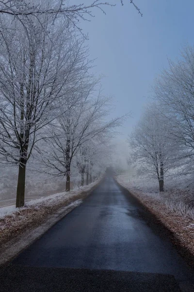 Winter Walk Sunny Cold Winter Day Eberstwiese Rennsteig Thuringia Germany — Stock Photo, Image