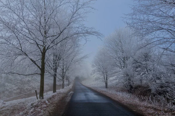 Passeio Inverno Dia Inverno Frio Ensolarado Torno Eberstwiese Rennsteig Turíngia — Fotografia de Stock