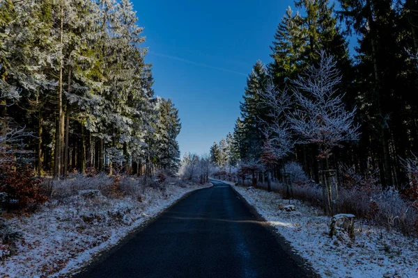 Winter Walk Sunny Cold Winter Day Eberstwiese Rennsteig Thuringia Germany — Stock Photo, Image