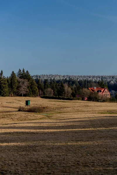 Zimowy Spacer Słoneczny Zimowy Dzień Wokół Eberstwiese Rennsteig Turyngia Niemcy — Zdjęcie stockowe