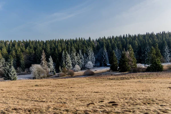 Rennsteig - Thüringen / Almanya 'da Eberstwiese etrafında güneşli bir kış günü kış yürüyüşü