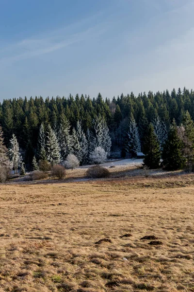 Χειμερινή Βόλτα Μια Ηλιόλουστη Κρύα Χειμωνιάτικη Μέρα Γύρω Από Eberstwiese — Φωτογραφία Αρχείου