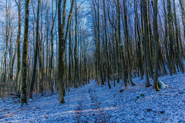 Paseo Invierno Día Soleado Alrededor Del Dolmar Turingia Alemania —  Fotos de Stock