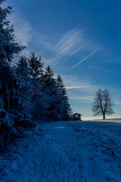 Passeio Inverno Dia Ensolarado Torno Dolmar Turíngia Alemanha — Fotografia de Stock
