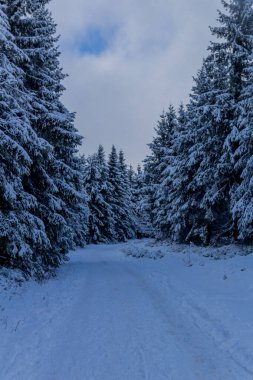 First small winter hike along the Rennsteig through the Thuringian Forest - Schneekopf/Germany