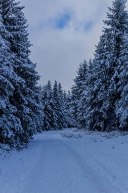 First small winter hike along the Rennsteig through the Thuringian Forest - Schneekopf/Germany