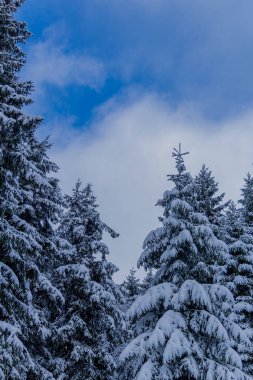 First small winter hike along the Rennsteig through the Thuringian Forest - Schneekopf/Germany