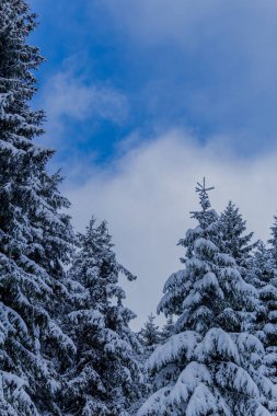 First small winter hike along the Rennsteig through the Thuringian Forest - Schneekopf/Germany