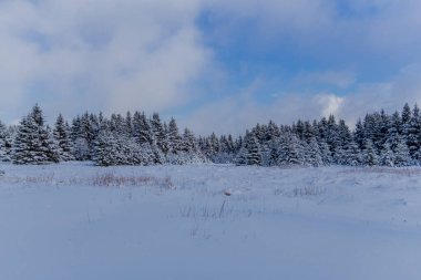 First small winter hike along the Rennsteig through the Thuringian Forest - Schneekopf/Germany