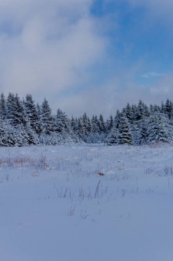First small winter hike along the Rennsteig through the Thuringian Forest - Schneekopf/Germany