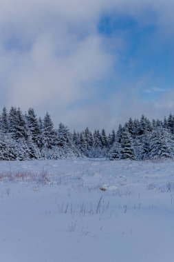 First small winter hike along the Rennsteig through the Thuringian Forest - Schneekopf/Germany