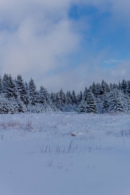 First small winter hike along the Rennsteig through the Thuringian Forest - Schneekopf/Germany