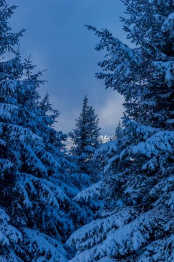 First small winter hike along the Rennsteig through the Thuringian Forest - Schneekopf/Germany