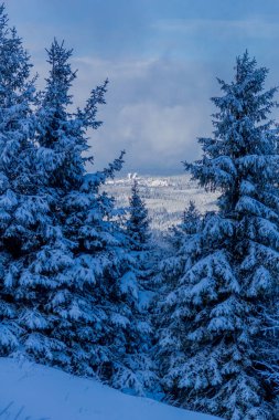 First small winter hike along the Rennsteig through the Thuringian Forest - Schneekopf/Germany