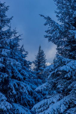 First small winter hike along the Rennsteig through the Thuringian Forest - Schneekopf/Germany