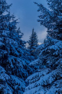 First small winter hike along the Rennsteig through the Thuringian Forest - Schneekopf/Germany