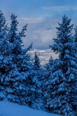 First small winter hike along the Rennsteig through the Thuringian Forest - Schneekopf/Germany
