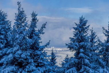 First small winter hike along the Rennsteig through the Thuringian Forest - Schneekopf/Germany