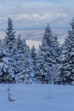First small winter hike along the Rennsteig through the Thuringian Forest - Schneekopf/Germany