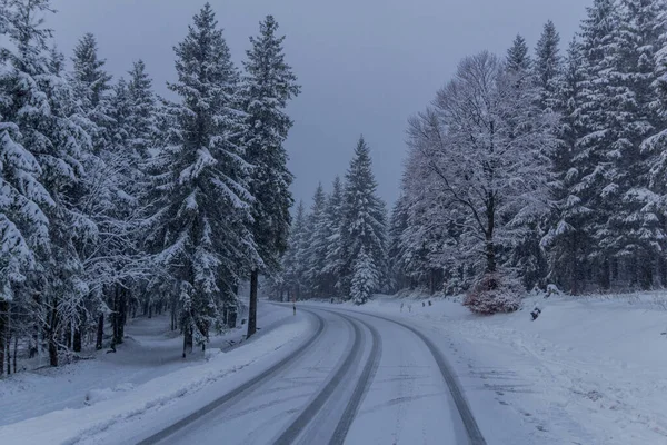 Primeira Pequena Caminhada Inverno Longo Rennsteig Através Floresta Turíngia Schneekopf — Fotografia de Stock