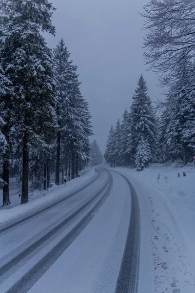 Primeira Pequena Caminhada Inverno Longo Rennsteig Através Floresta Turíngia Schneekopf — Fotografia de Stock