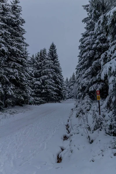 First Small Winter Hike Rennsteig Thuringian Forest Schneekopf Germany — Stockfoto