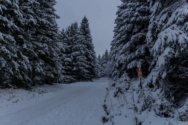 Primeira Pequena Caminhada Inverno Longo Rennsteig Através Floresta Turíngia Schneekopf — Fotografia de Stock