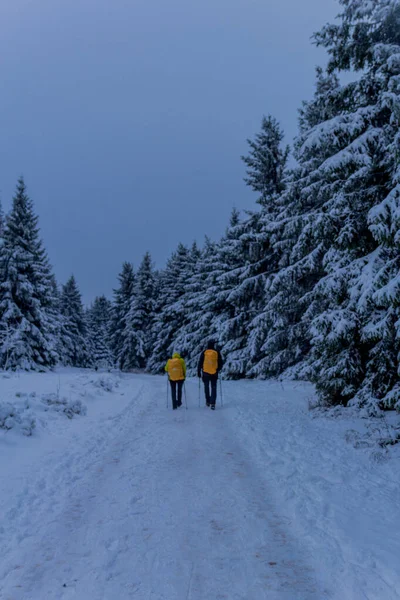 First Small Winter Hike Rennsteig Thuringian Forest Schneekopf Germany — Stock Fotó