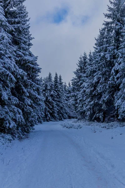 First Small Winter Hike Rennsteig Thuringian Forest Schneekopf Germany — Stock Photo, Image
