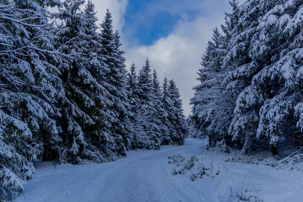 First Small Winter Hike Rennsteig Thuringian Forest Schneekopf Germany — Stock Fotó