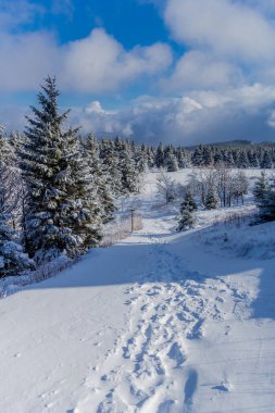 First small winter hike along the Rennsteig through the Thuringian Forest - Schneekopf/Germany